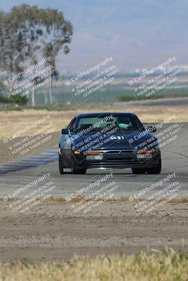 media/May-03-2024-PCA Central Coast (Fri) [[eaa7da0ee1]]/Red Group/Session 1 (Grapevine)/